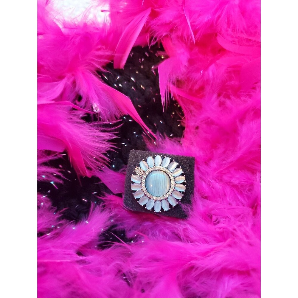Paparazzi ring